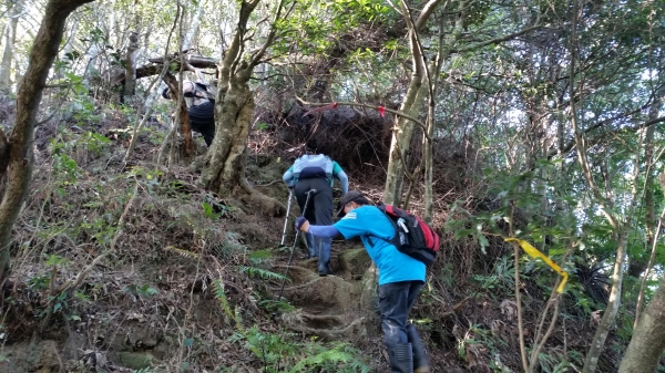 【新北／三峽】白雞三山連走3072