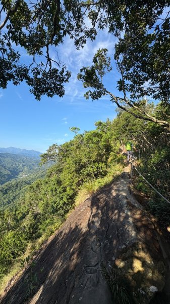 岩壁上的花、艷紅鹿子百合（12868979