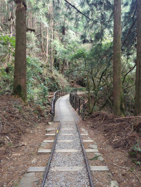 2026.02.14－特富野古道3013731