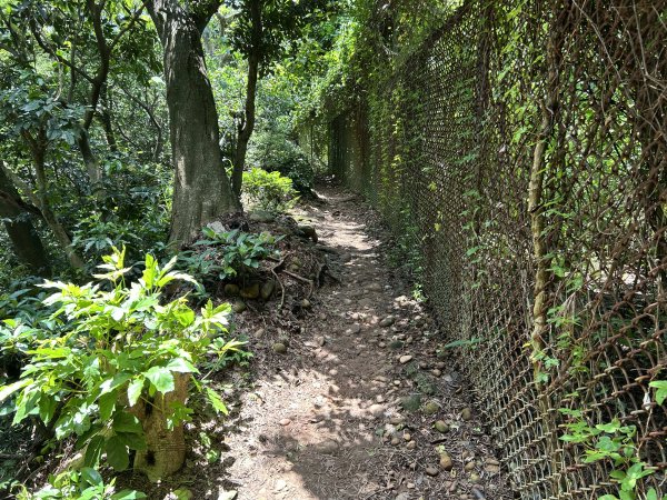 鳳崎落日步道2799193