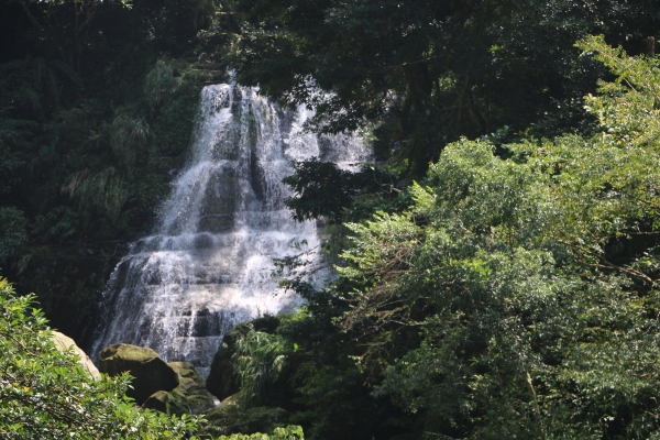 104-10-03 嘉義瑞峰風景區~竹坑溪步道22199