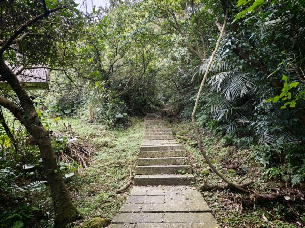 [淡蘭古道] 2026_0531 北路第一段_琉榔路步道3070556