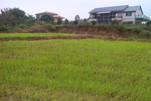 桃園．龍潭大池上游 自行車步道2023/02/112042443