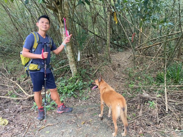 阿拔泉山.觀音石山.紅南坑山.獨立山【在山中遇見最高水準的公民素養】2656309