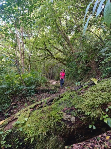 畝畝山、青林山、石古井、石硿子瀑布、石硿子古道O走1492805