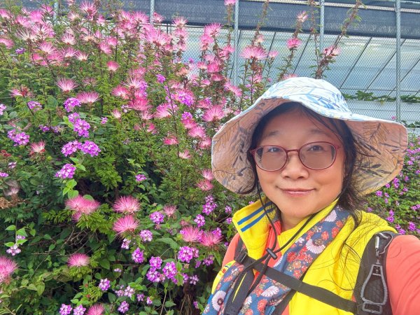 台北縱走第四段訪雙溪山 梅花山與西峰南峰西南峰 碧山3012809