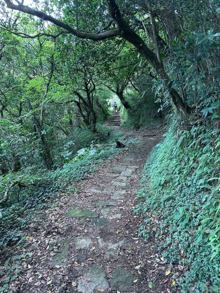 台北大縱走第二段2786938