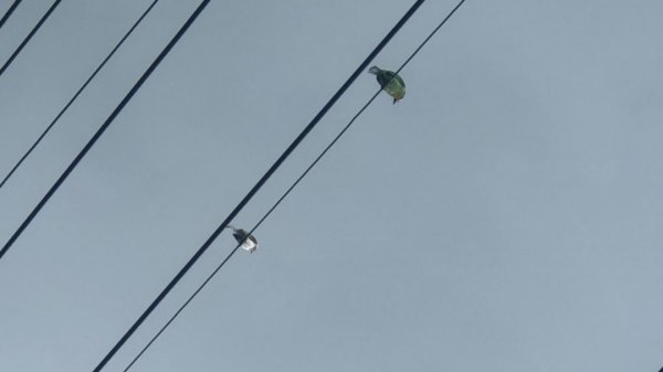 華山步道群1423607