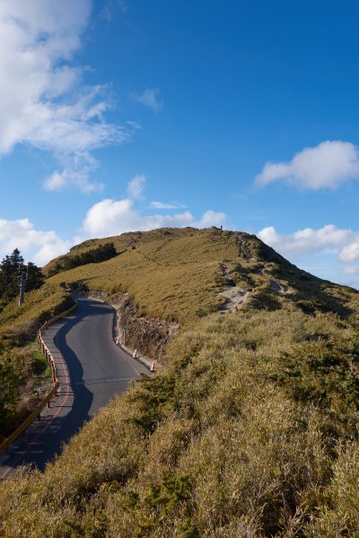 石門山金黃草原1385962