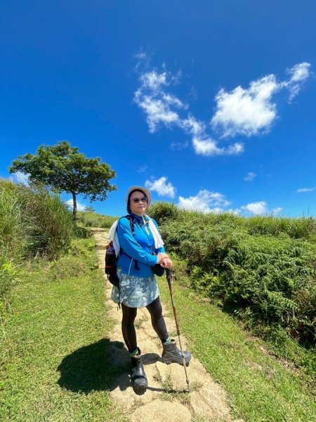 上磺溪橋走魚路古道/金包里城門/擎天崗/冷水坑2872144