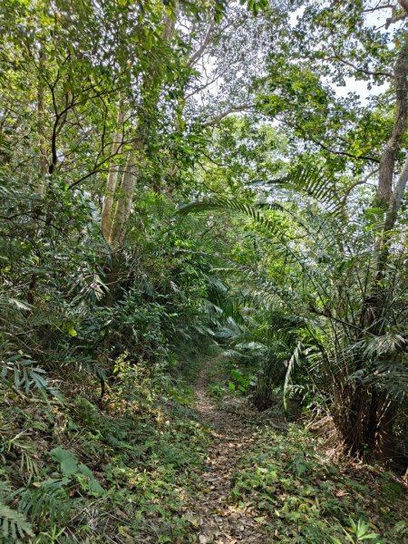 2024.03.17 竹東三山連走2900088