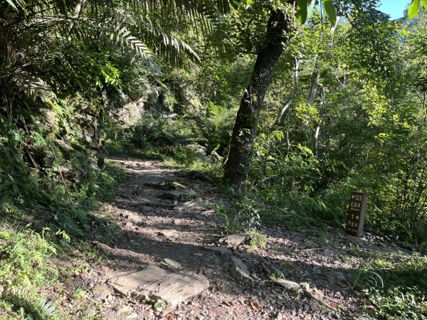 [玉山尋寶任務-03/12] 2025_0810 瓦拉米步道2857401