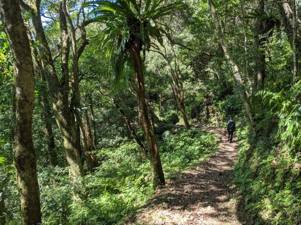 志繼山東眼山拉卡山1491088