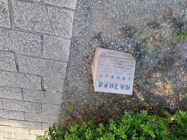 2026微笑山線樟樹步道3103318