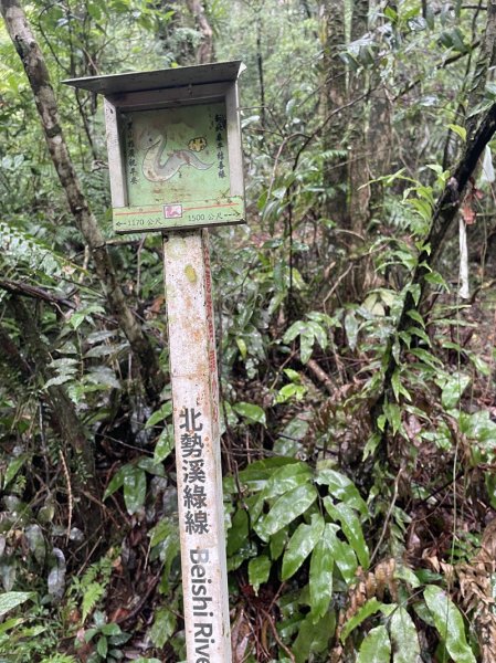 南北豹子廚山2925453