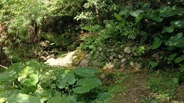 金山區大路崁古道-土地公步道-兩湖保甲路-水圳路3121316