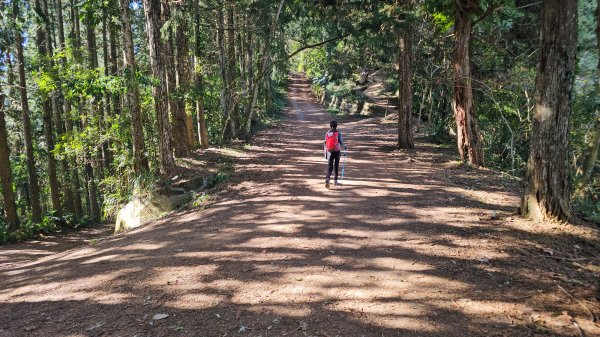 20260127獵人古道3031775