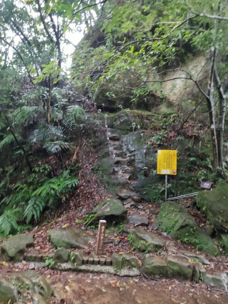 微笑山線：【五分山系】菁桐煤礦段、平溪小黃山段、望古瀑布段2841302