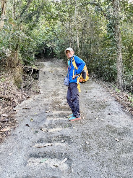 再訪八通關社寮古道登陳東坑山    2025.11.252946096