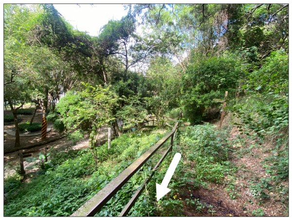 土地公坑山 新路線 (彰化、花壇)3070357