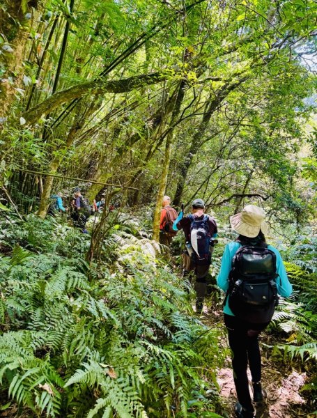 二格公園走小格頭獅頭山 千島湖看鱷魚 雲海國小爬雲海山回二格公園3134078