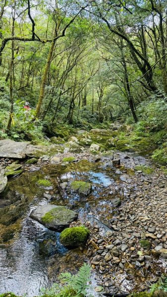 烘爐地山、桶後溪源頭O走2593138