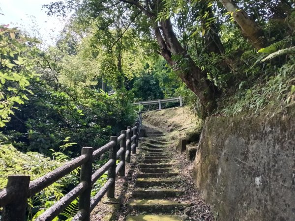 平溪區大華步道+幼坑古道+幼坑崙(大華車站-三貂嶺車站)2925179