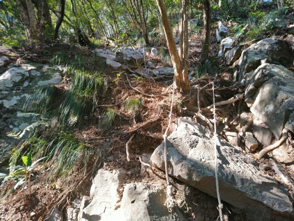 屋我尾山(麗陽線)821149