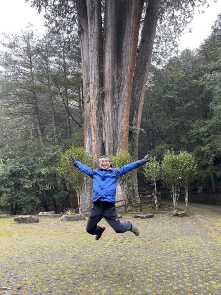 大雪山森林遊樂區2737493