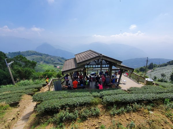 【雲嘉】後棟山連走大二尖山1478460