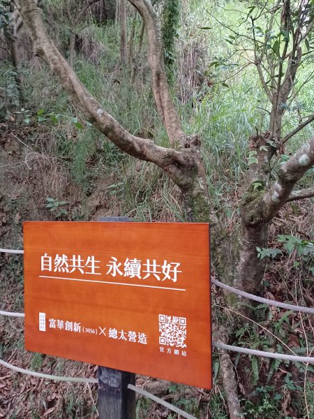 【台中北屯】台中大坑九號步道2933014