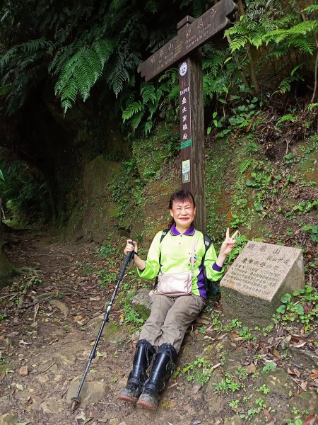 【白金縱走】內湖白鷺鷥山→汐止金龍湖（2-1 內湖區大湖公園→北天宮竹夢園）1701562