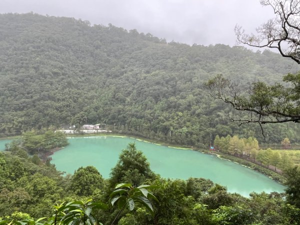 20241121_望龍埤步道2855716