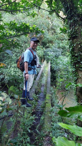 蛇來運轉之蛇年爬蛇山  蛇子形古道-三爪子坑山-蛇子崙山O型2783958