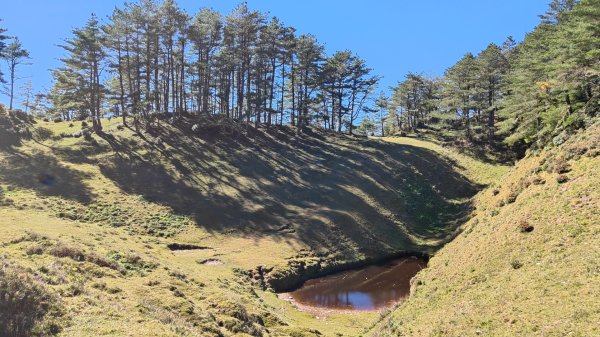 東埔上郡大山下對關山龍貓公車 2024年12月1日2659476