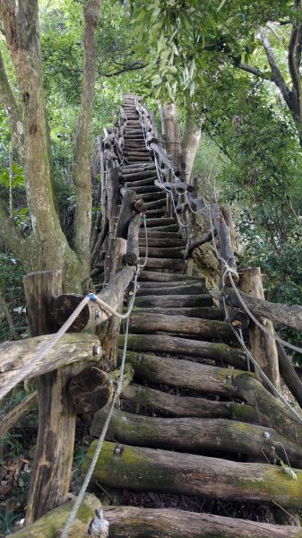 【台灣健行】台中大坑 5-1、5 頭嵙山2879634