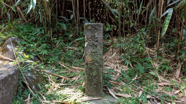 大屯山主峰步道3067622