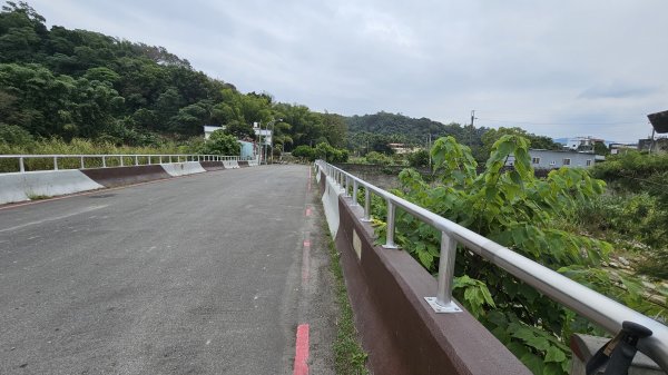 小中嵙登山步道頂中嵙山O形2385029