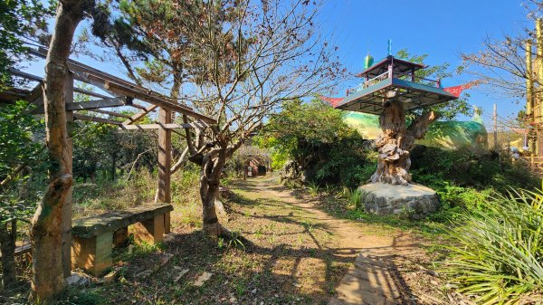 112/1/8苗栗縣頭屋鄉曲洞宮-墨硯山北峰-墨硯山-曲洞宮O型1992897