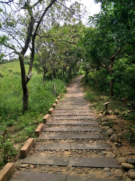 竹坑南寮登山步道1440854