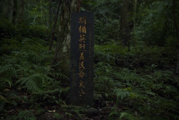 湖桶 梳妝樓山建牌崙O型10910141132327