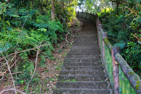 猴山岳。二格山。小獅山連走616092