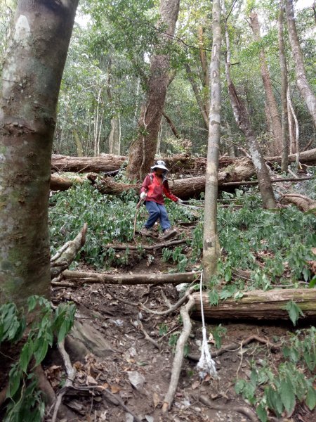 埔里六秀之南東眼山1870552