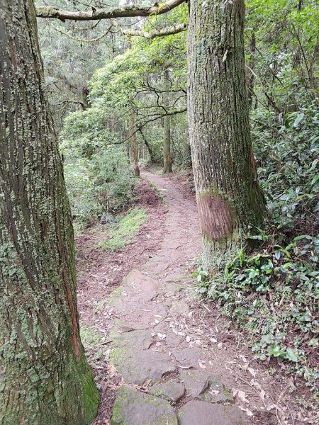 臺北大縱走第三段 小油坑至風櫃口2774172