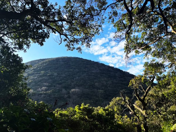 幸福五感森林癒2694308