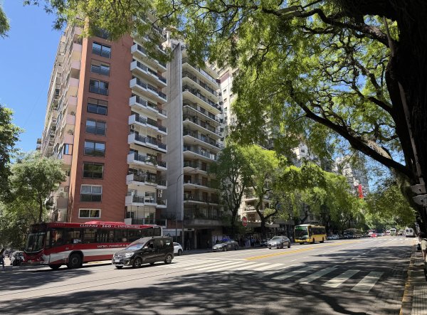 [紐約馬之行-59] 2025_1114 卡洛斯·泰斯植物園-上2953896