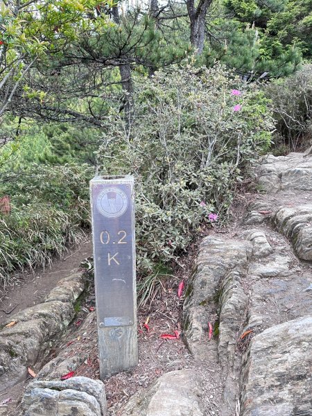 風雨中完成合歡北峰登頂2515334