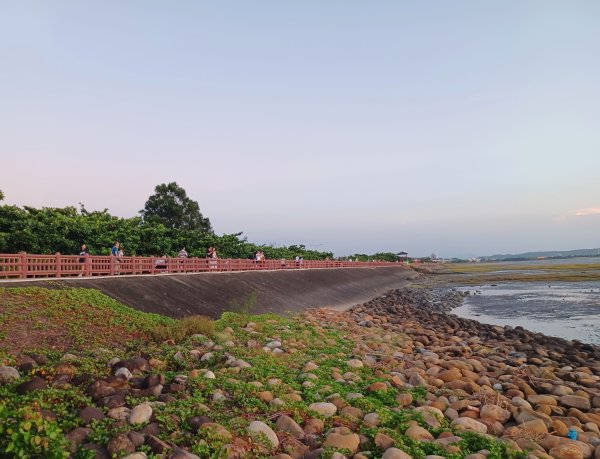 【苗栗新竹】通霄神社x通霄虎頭山步道x新竹香山濕地賞蟹步道2925442