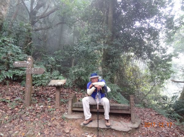 馬那邦山登山步道 2017 12 17226495