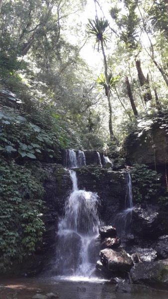 20190912 從雲森瀑布登樂佩山679427